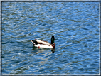 foto Lago di Caldonazzo